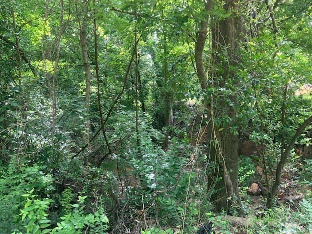0.37 acres in Smith County - photo 4