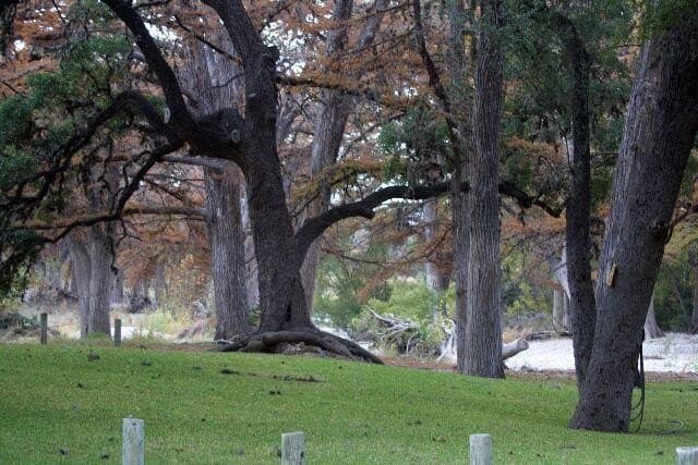 0.4 acres in Real County - photo 8