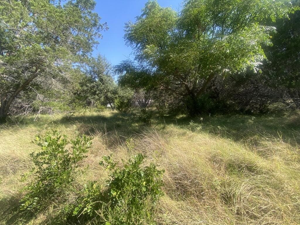 0.4 acres in Real County - photo 2