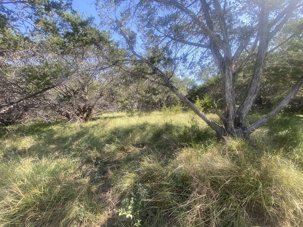 0.4 acres in Real County - photo 3