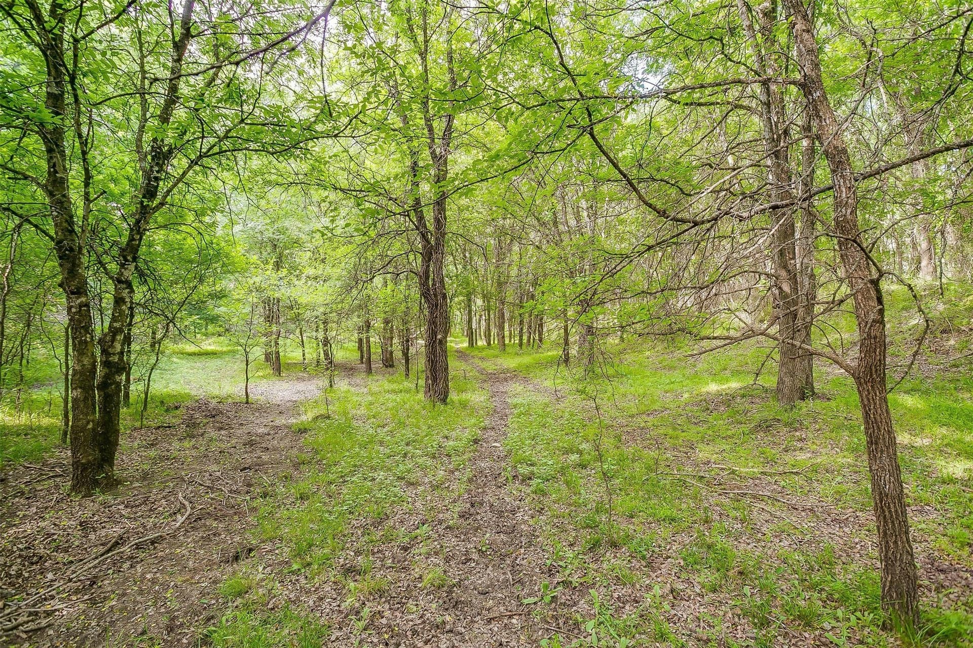 10.62 acres in Hill County - photo 17