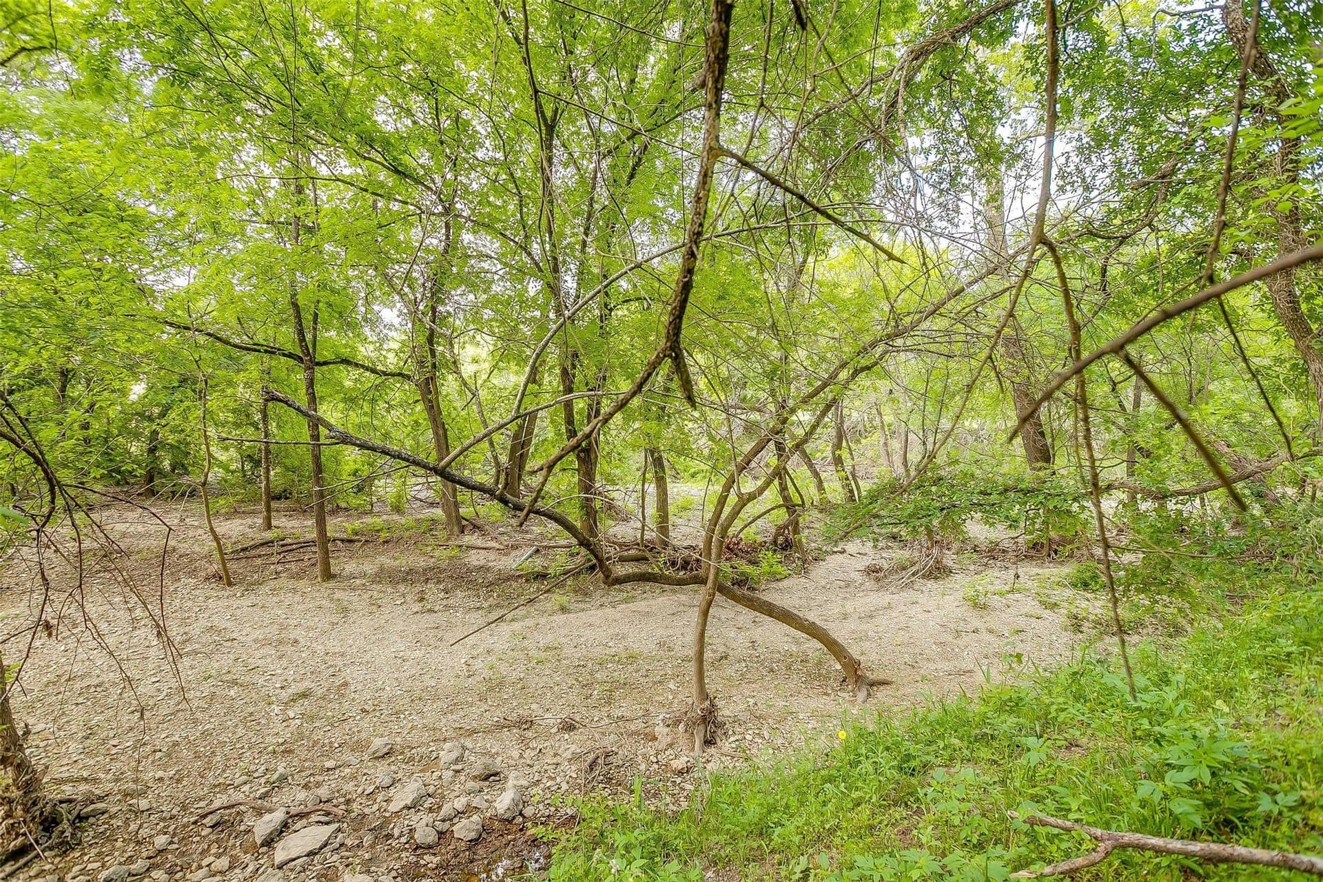 10.62 acres in Hill County - photo 18