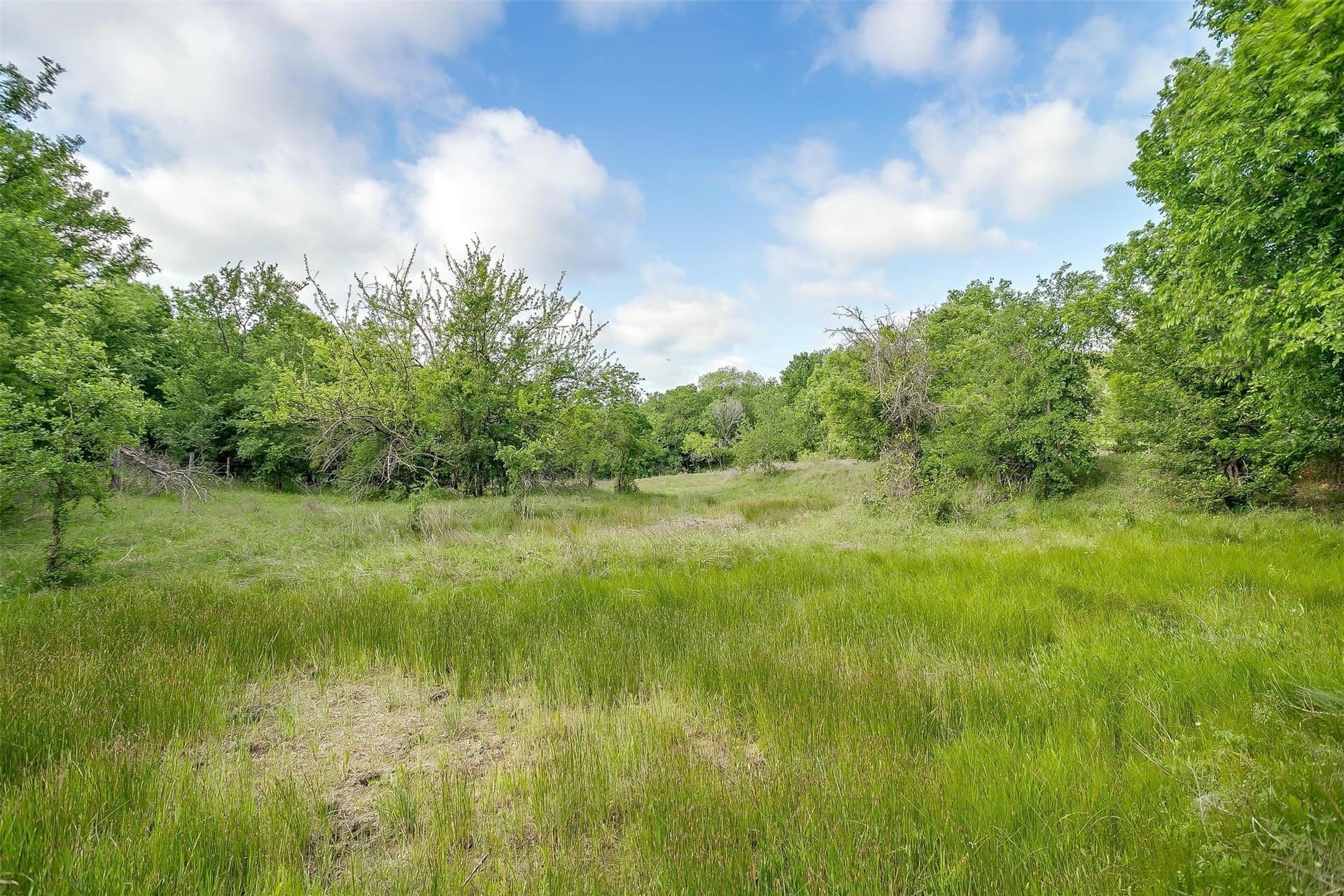 10.62 acres in Hill County - photo 16