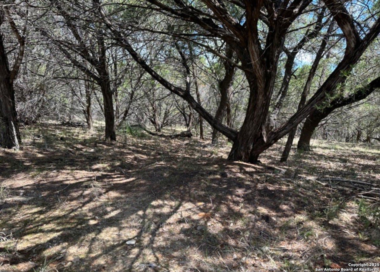 1.03 acres in Bandera County - photo 9
