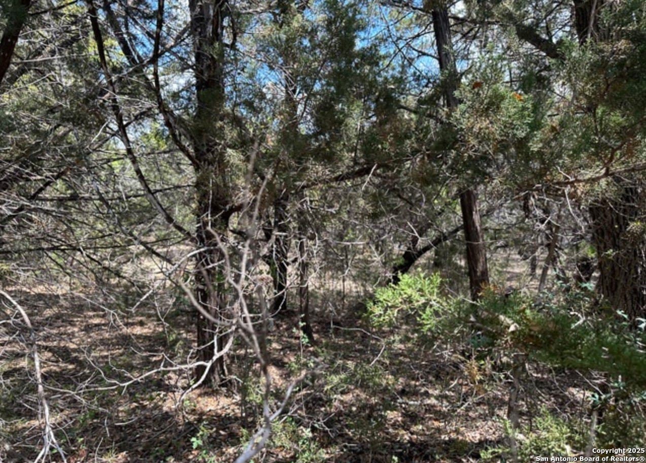 1.03 acres in Bandera County - photo 7