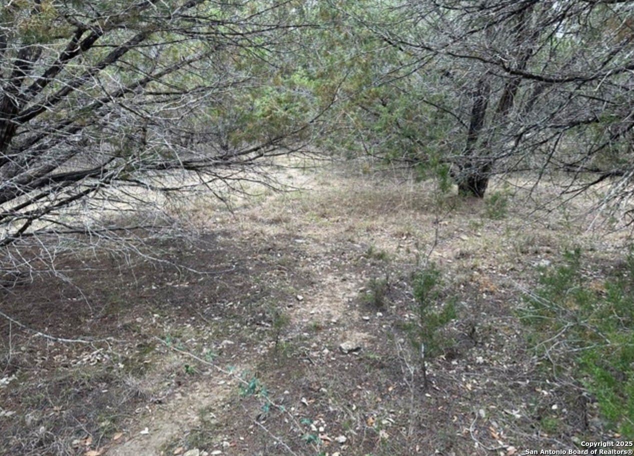 1.03 acres in Bandera County - photo 10