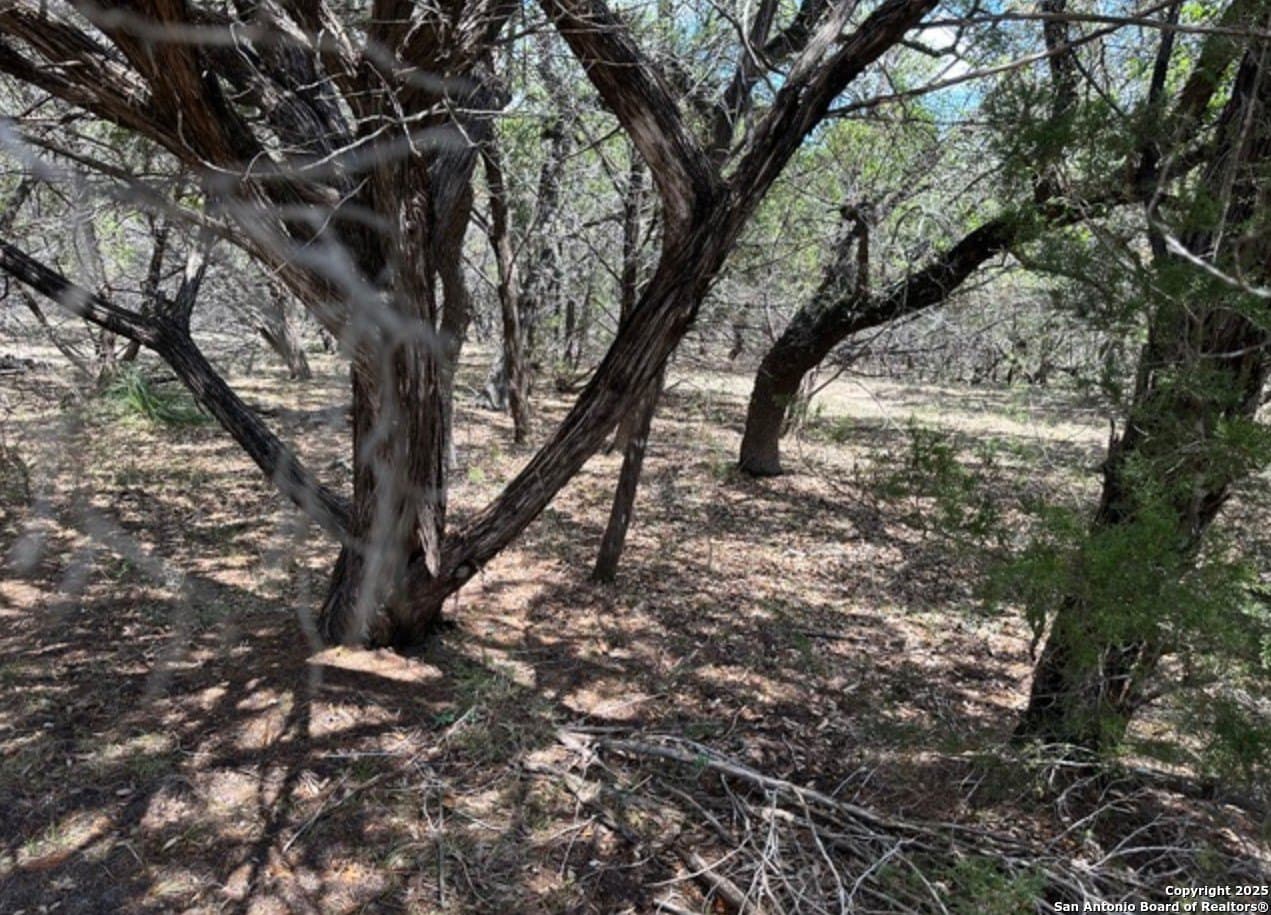 1.03 acres in Bandera County - photo 8