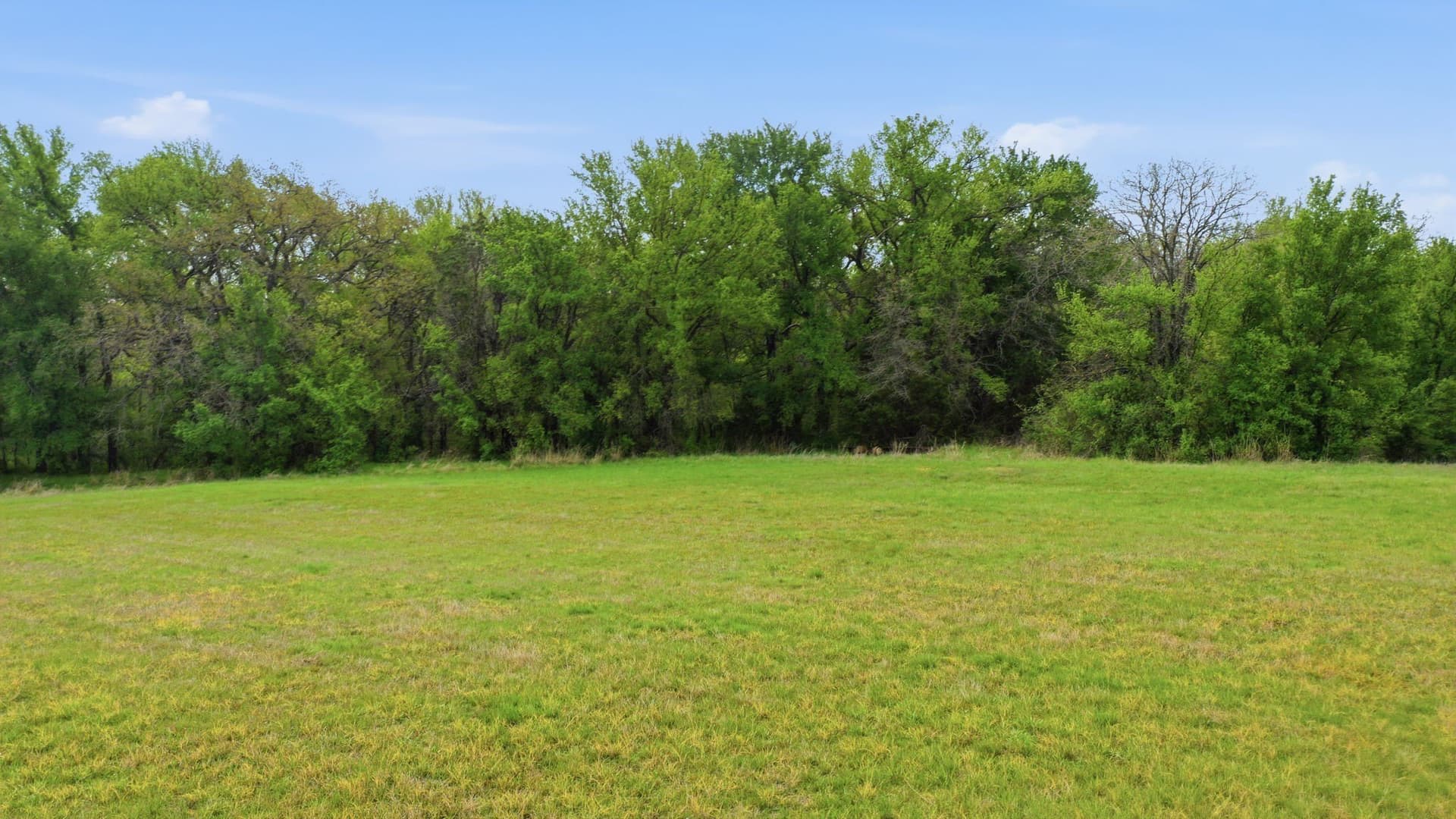 107.46 acres in Hood County - photo 30