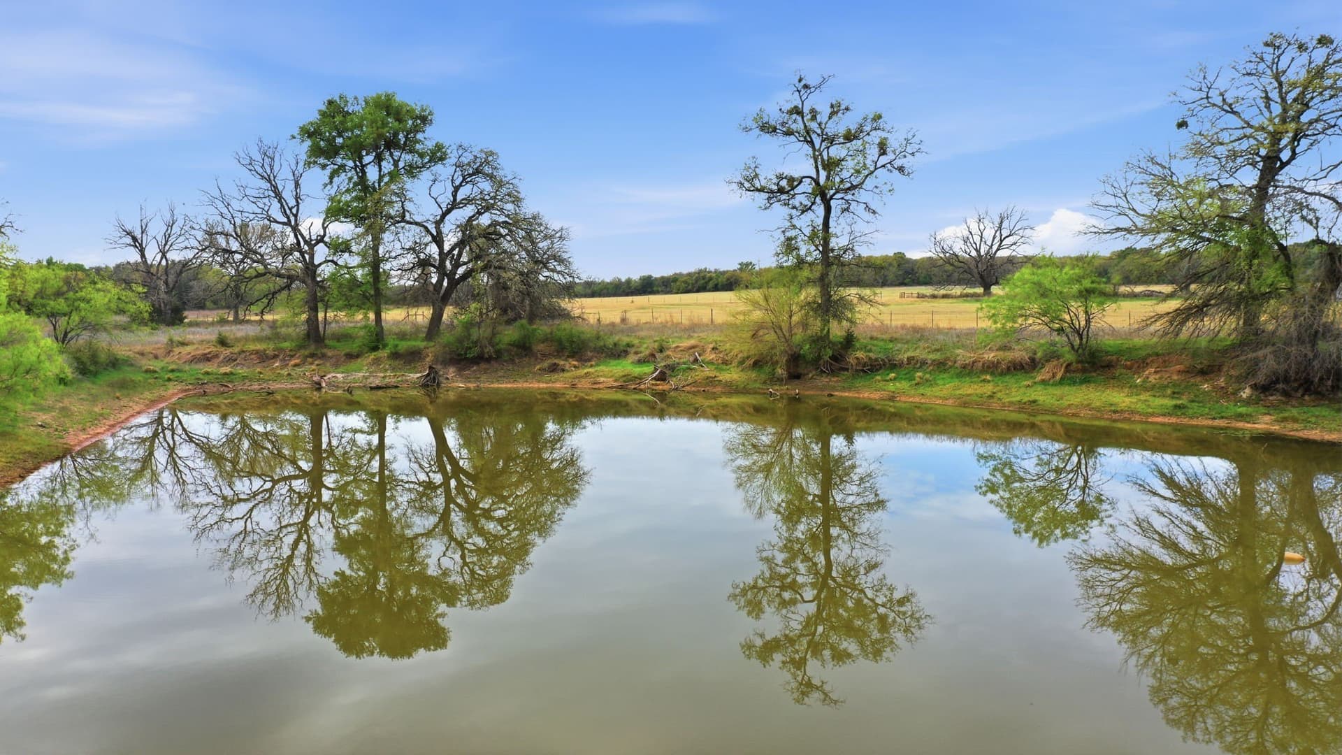 107.46 acres in Hood County - photo 34