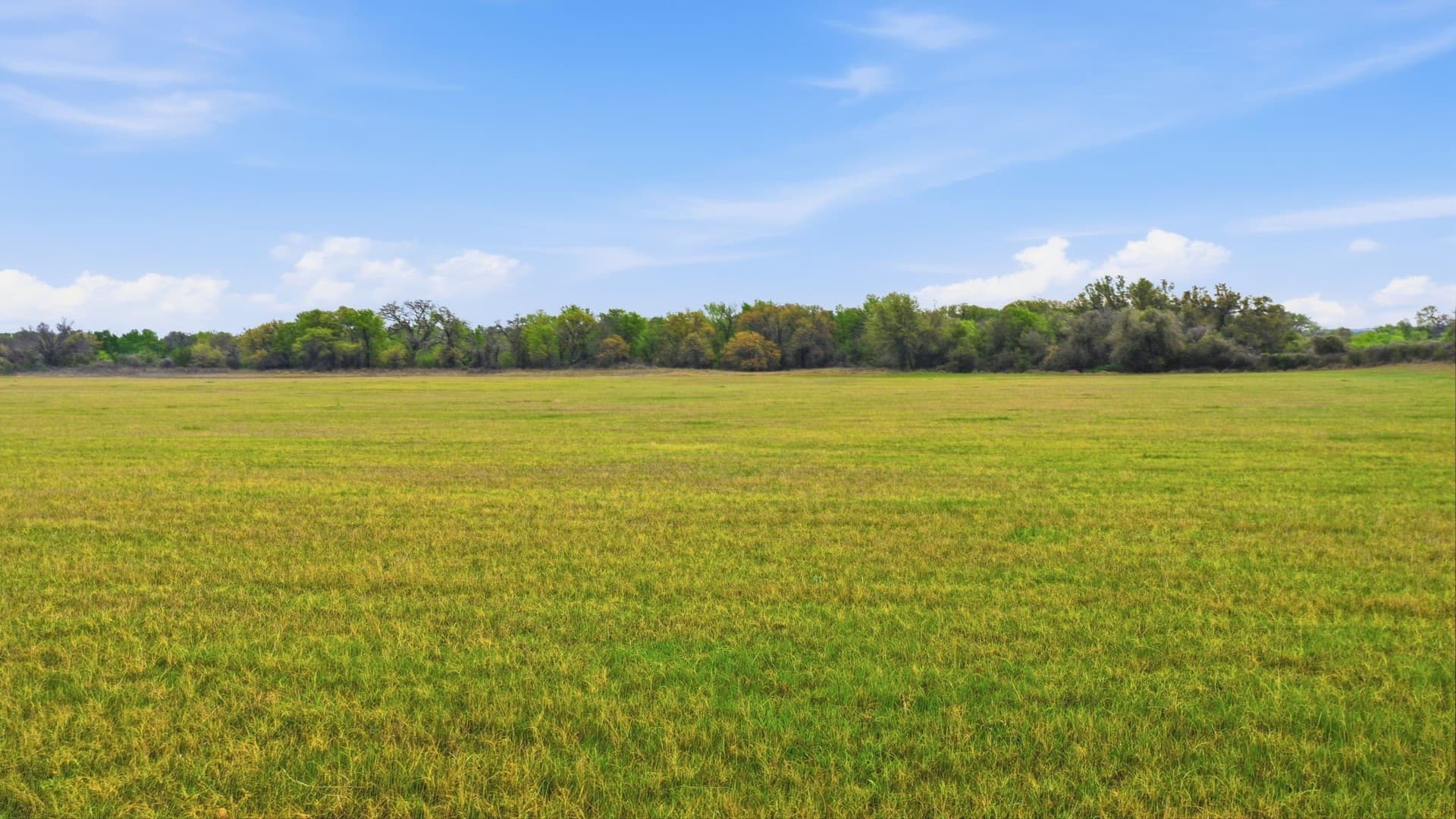 107.46 acres in Hood County - photo 26