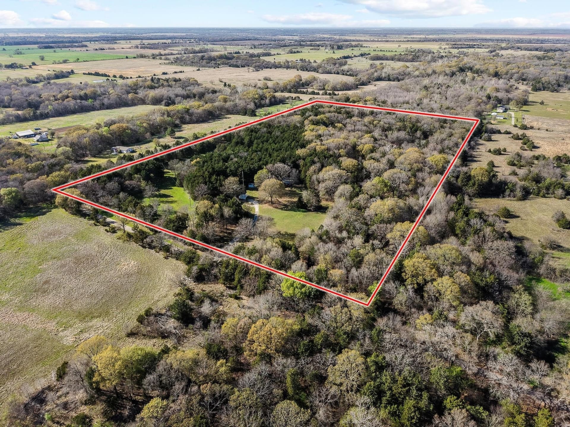 30 acres in Fannin County gallery image 3