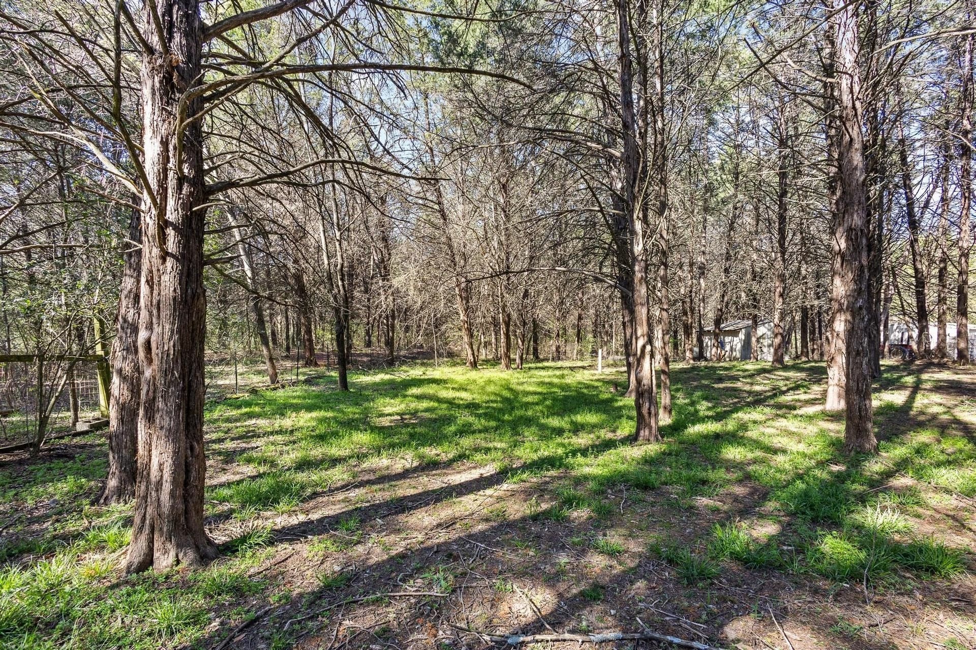 30 acres in Fannin County - photo 23