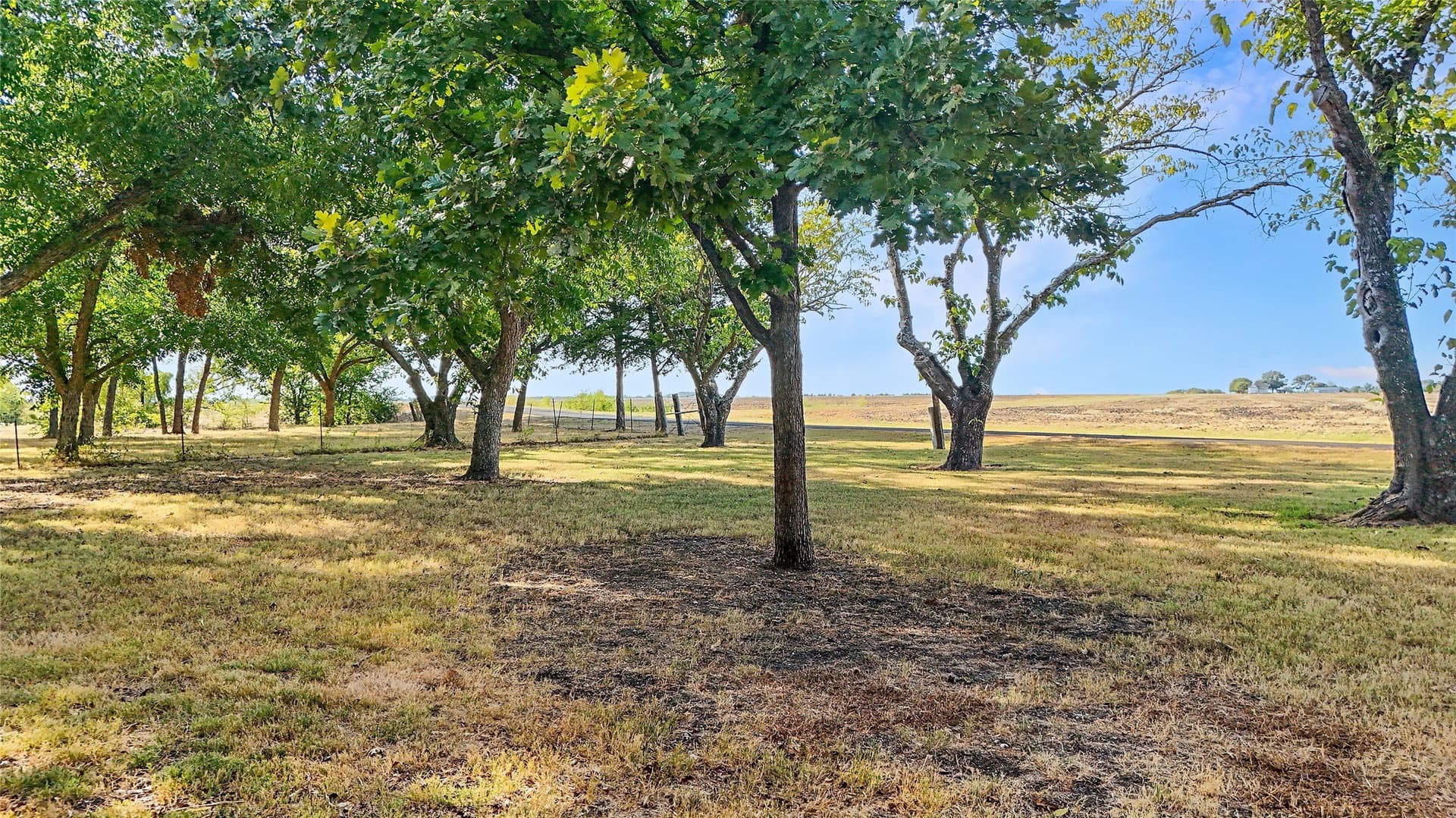 18.5 acres in Ellis County - photo 31