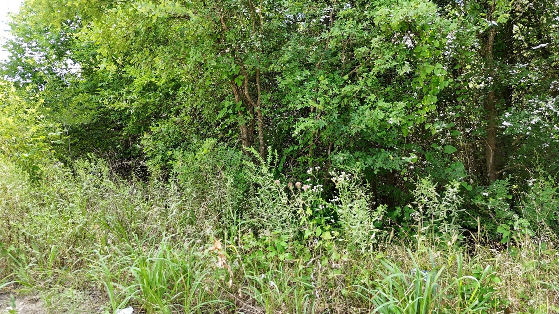 0.46 acres in Hunt County - photo 10