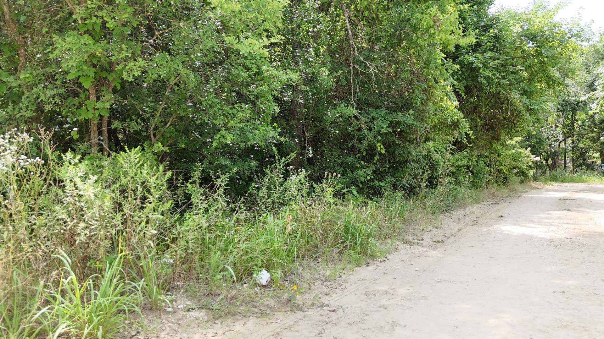 0.46 acres in Hunt County - photo 12