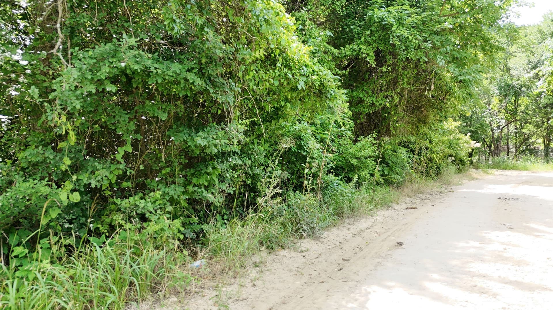 0.46 acres in Hunt County - photo 8