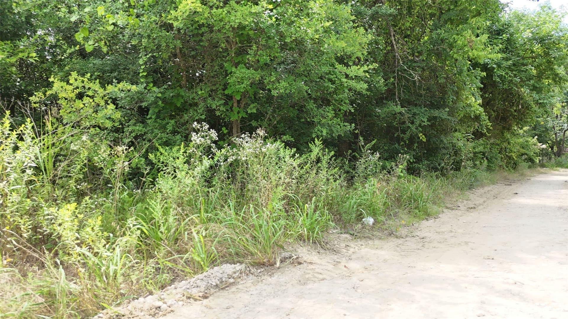 0.46 acres in Hunt County - photo 13
