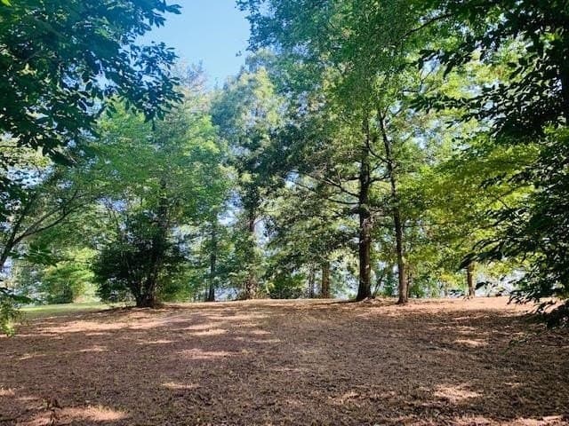 0.51 acres in Texas County gallery image 4