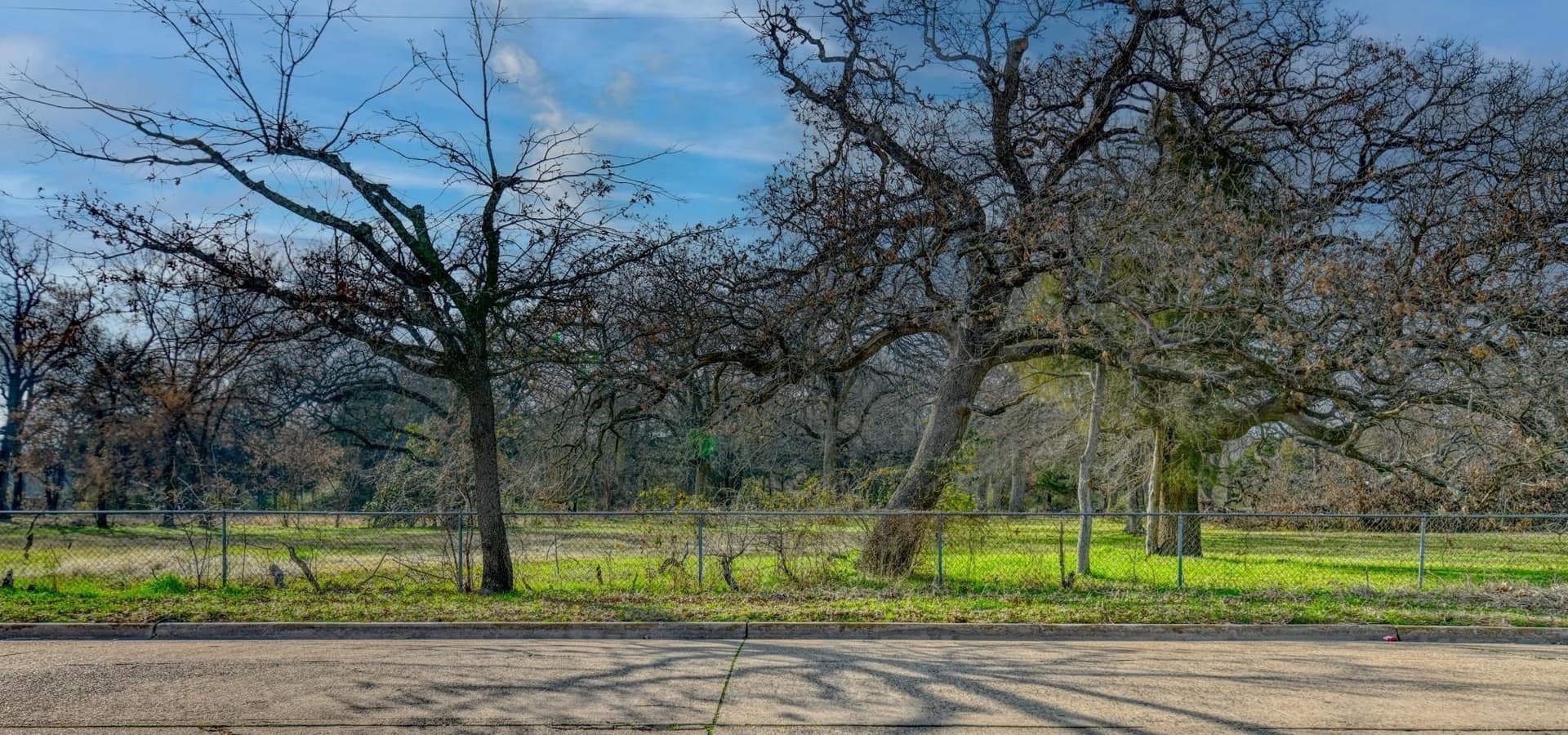 0.98 acres in Dallas County gallery image 3