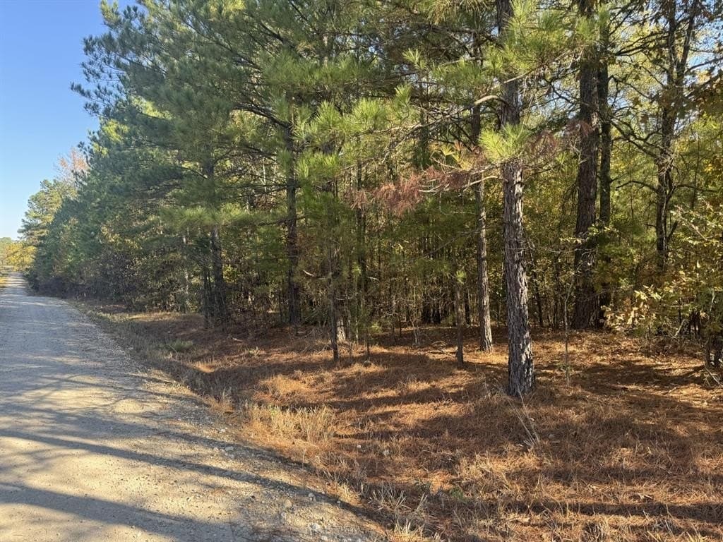 2 acres in Red River (TX) County gallery image 2