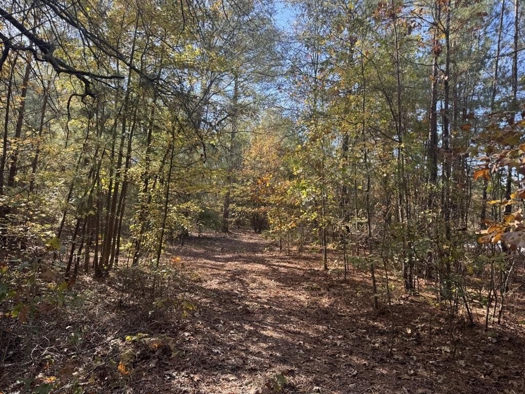 2 acres in Red River (TX) County gallery image 3