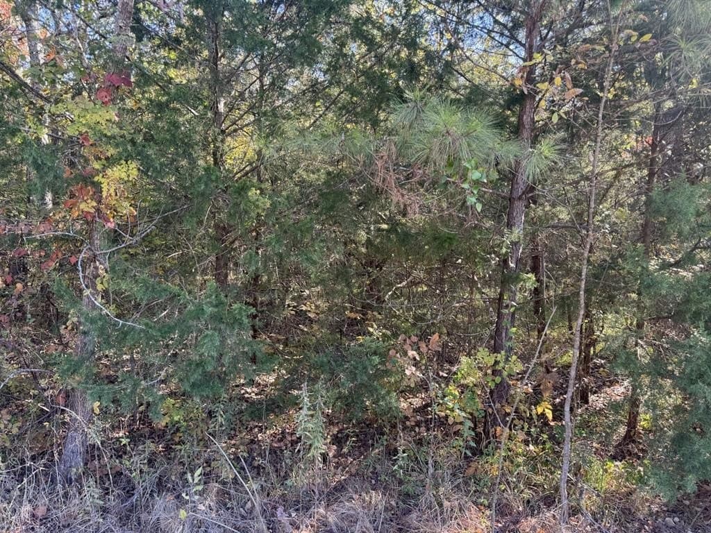 2 acres in Red River (TX) County gallery image 4