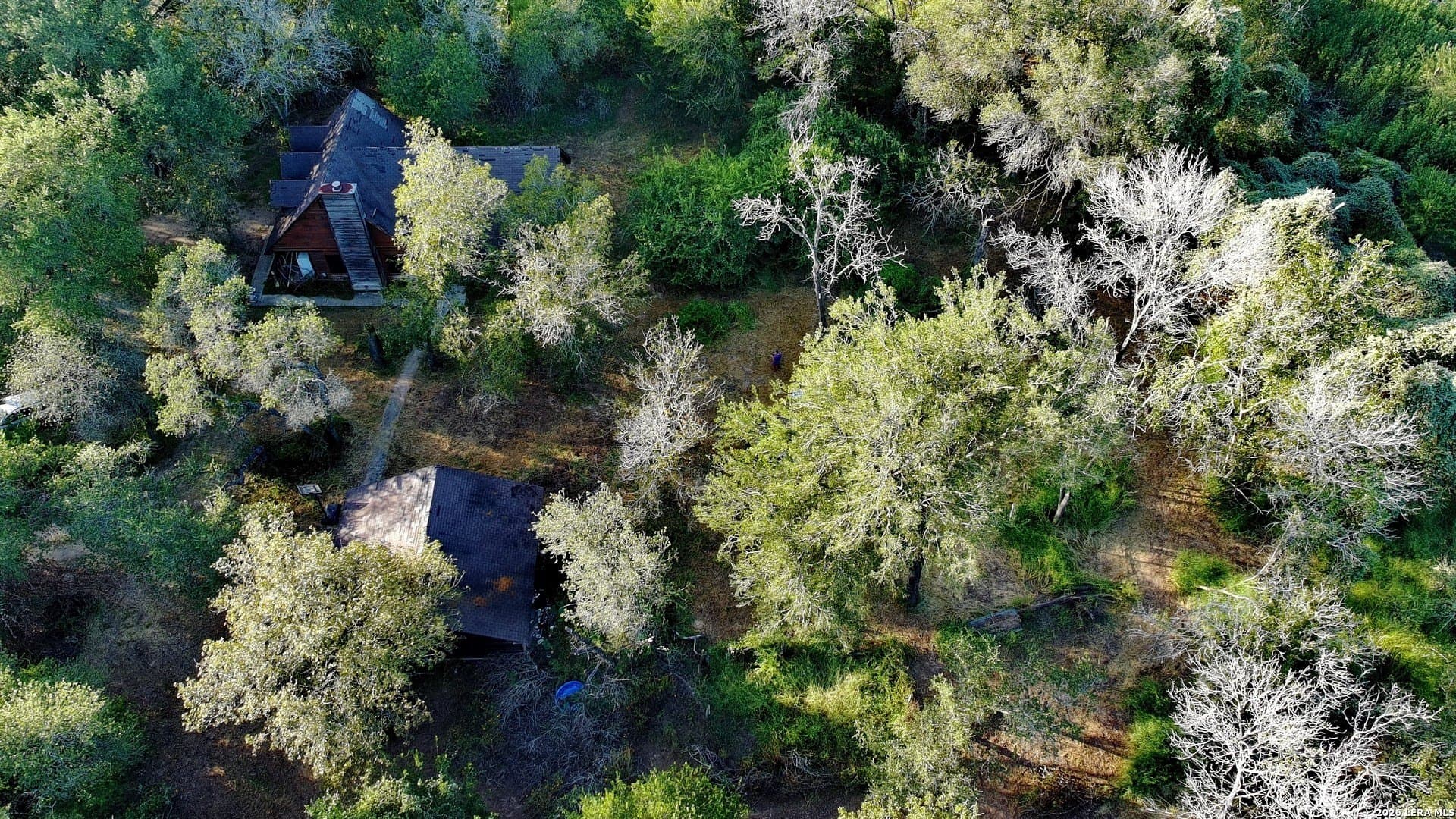 0.8 acres in Bexar County - photo 9