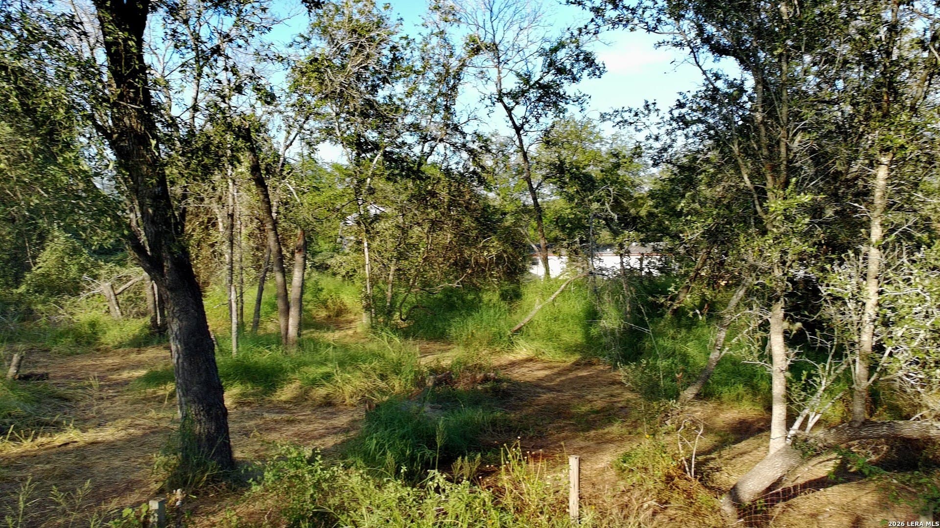 0.8 acres in Bexar County - photo 6