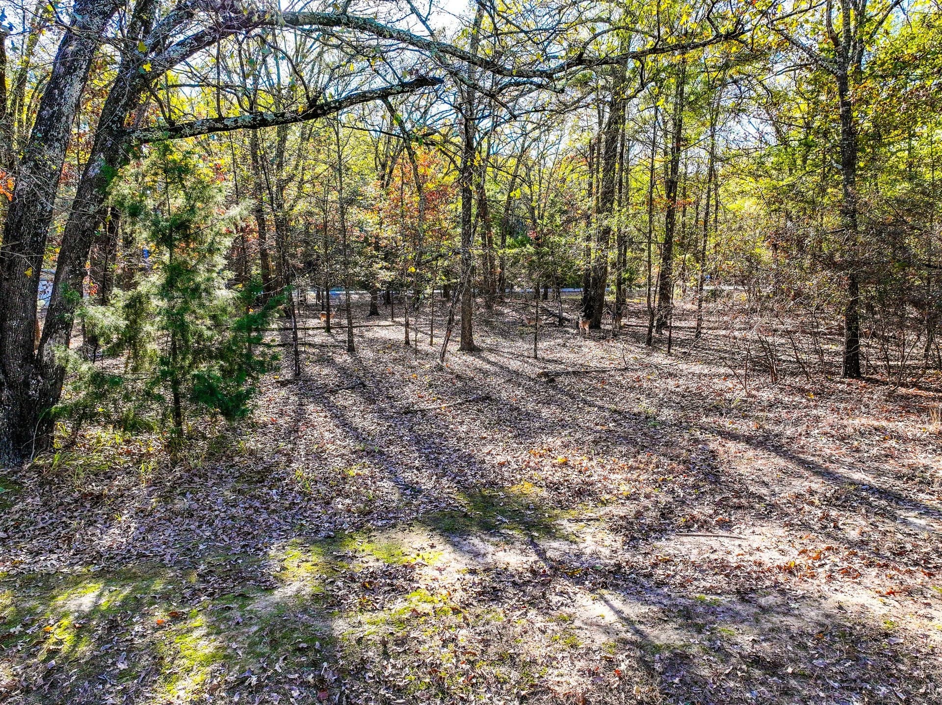 0.21 acres in Franklin (TX) County featured view