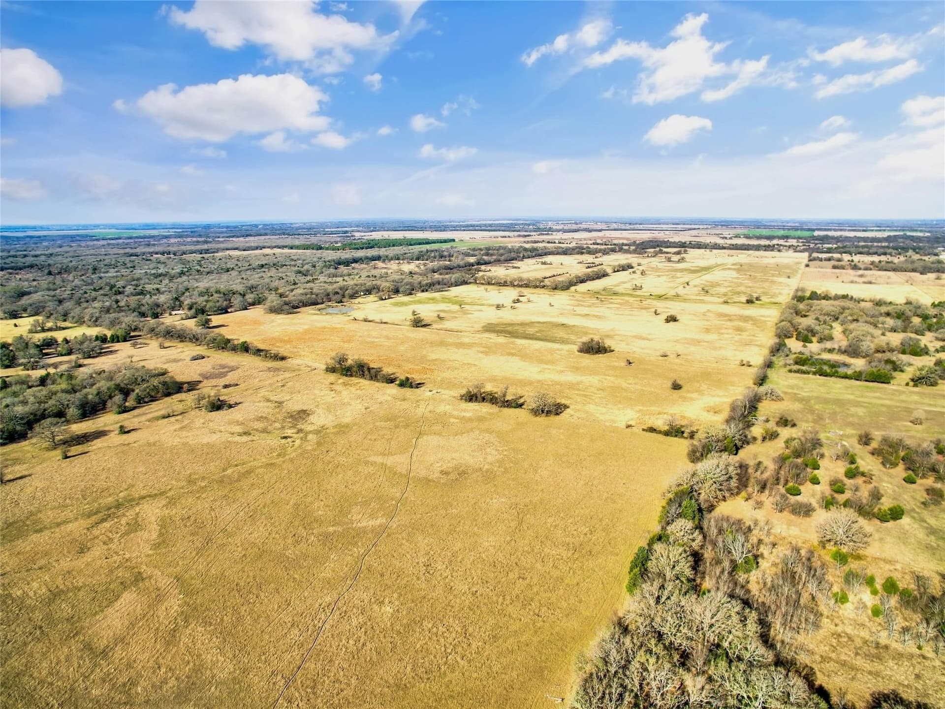 200.7 acres in Navarro County - photo 9