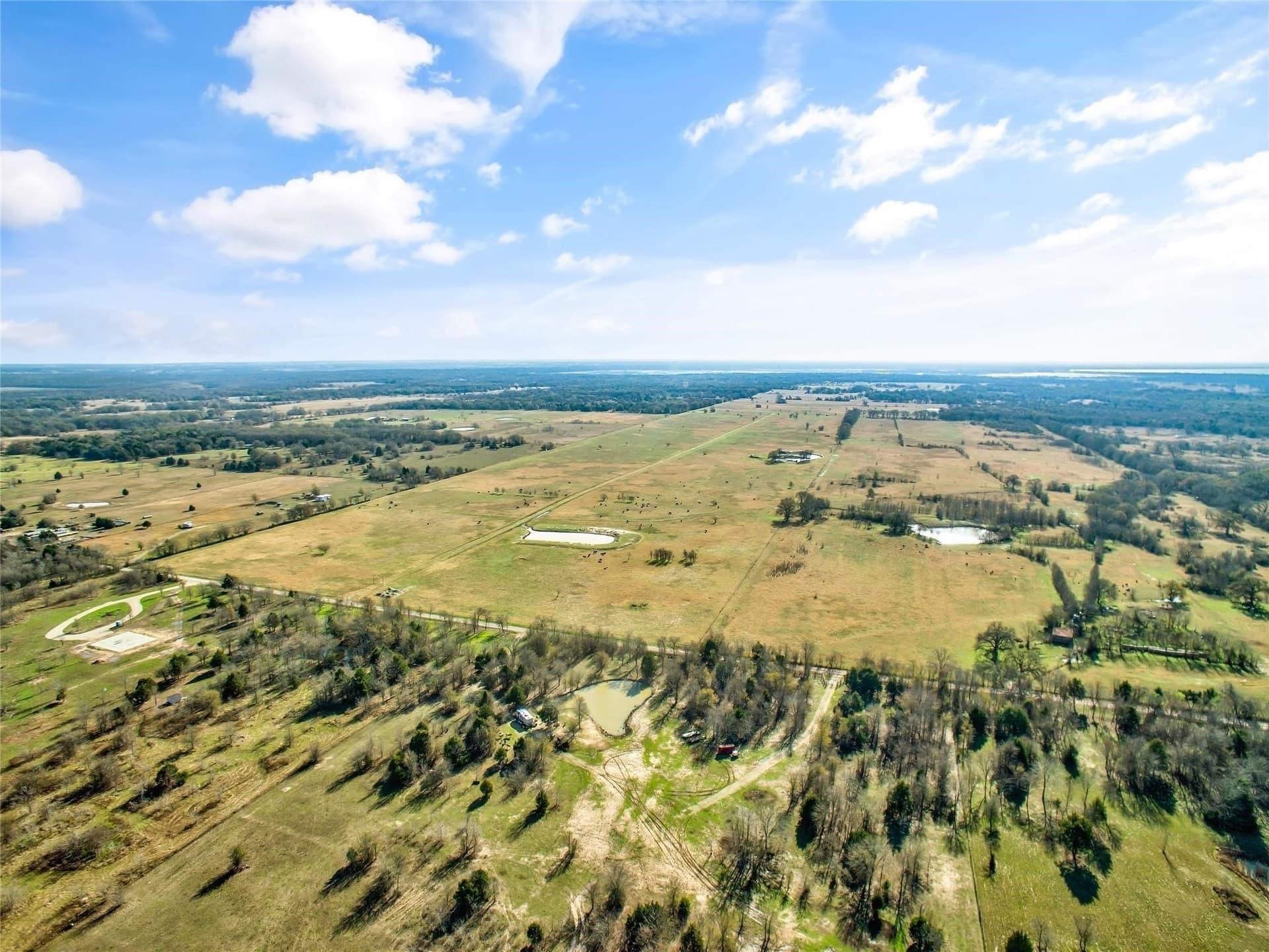 200.7 acres in Navarro County - photo 7