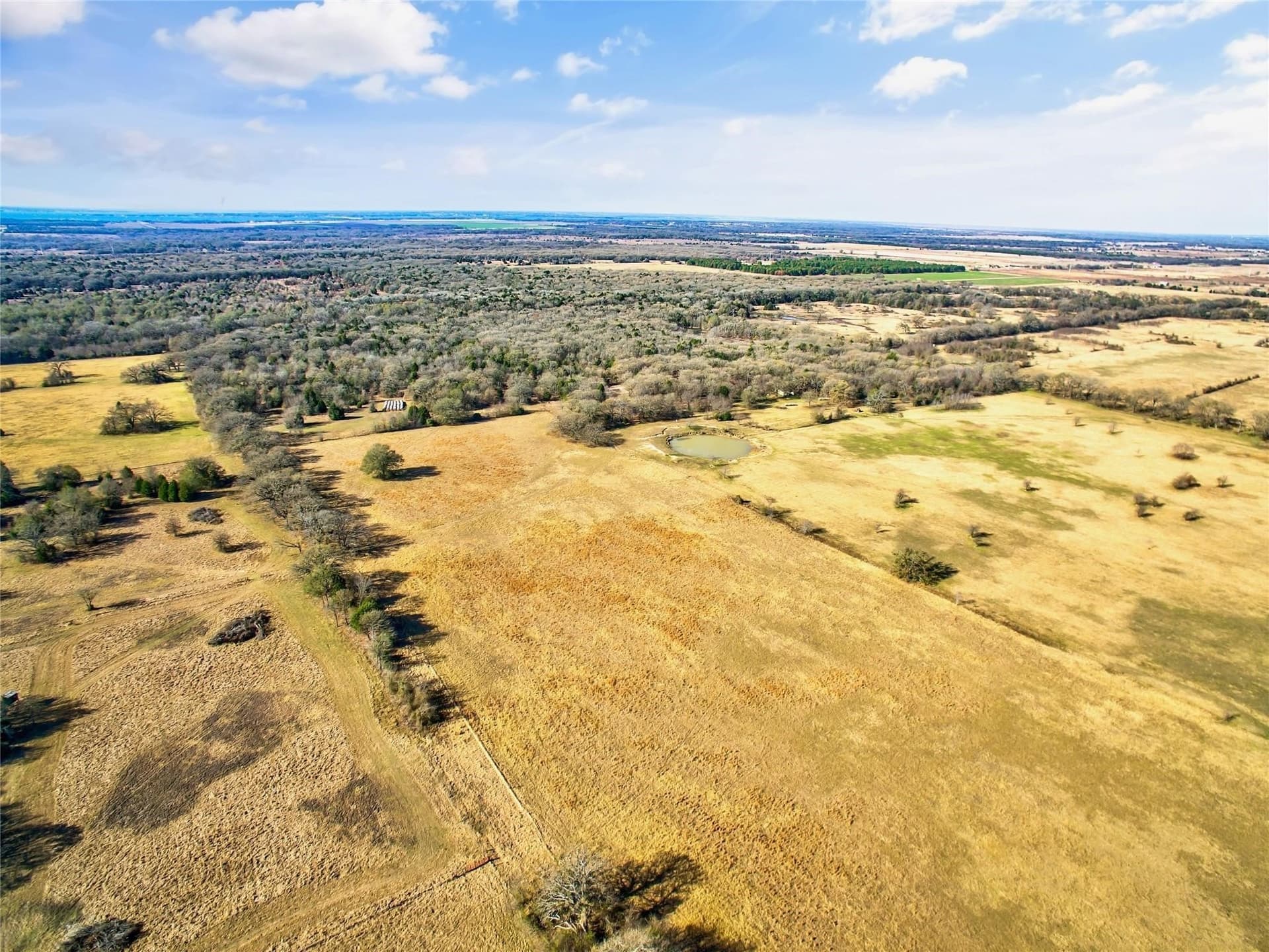200.7 acres in Navarro County gallery image 2
