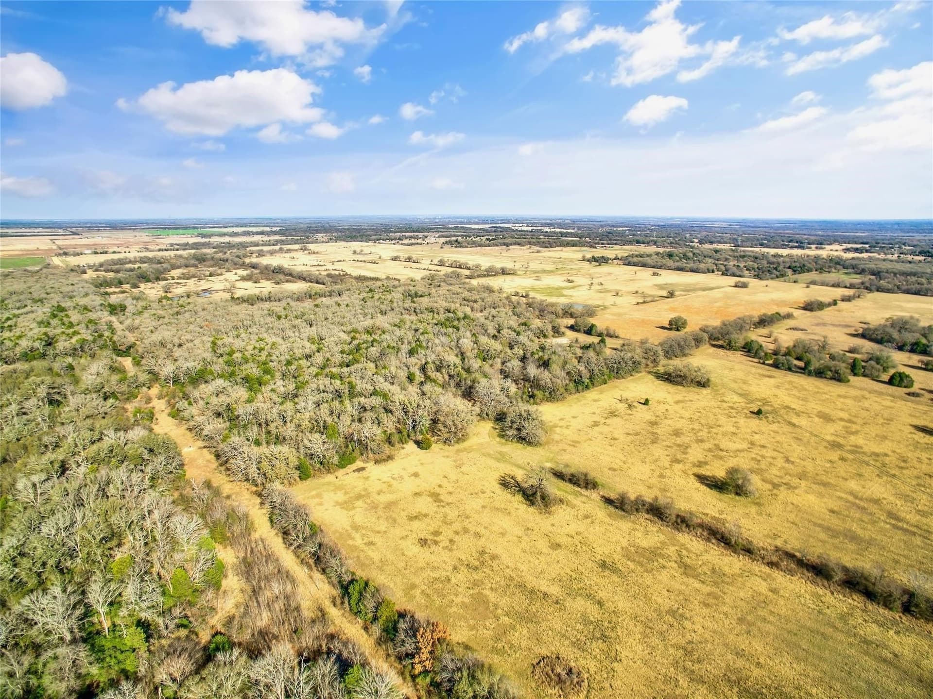 200.7 acres in Navarro County - photo 6