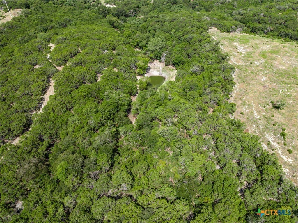 350 acres in Coryell County - photo 25