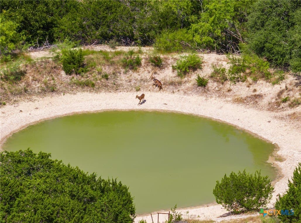 350 acres in Coryell County - photo 9