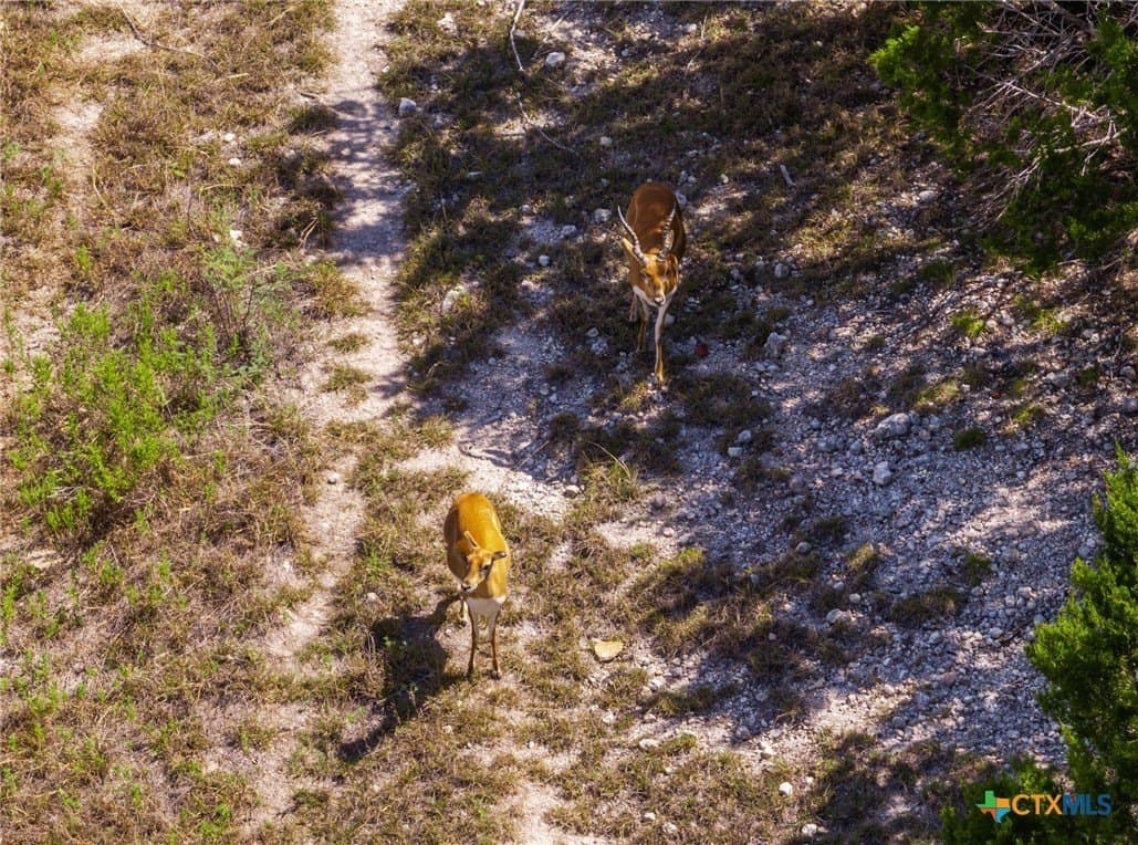 350 acres in Coryell County - photo 39