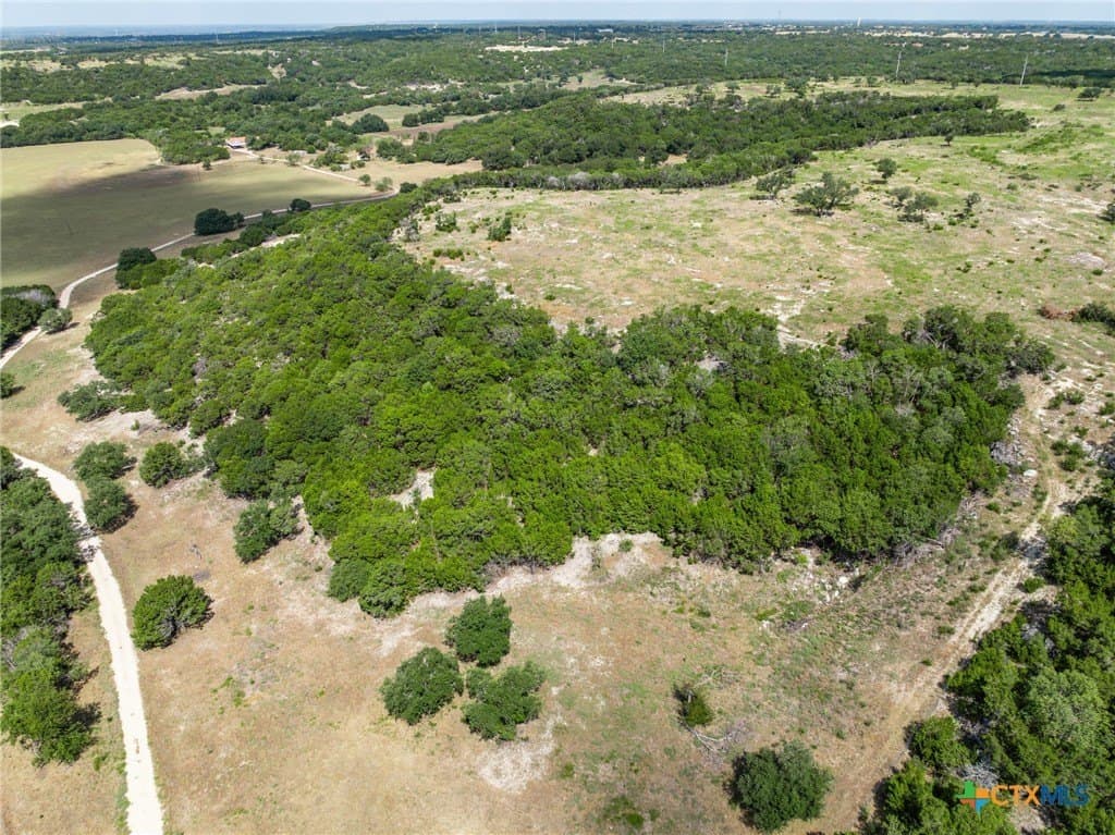 350 acres in Coryell County - photo 13