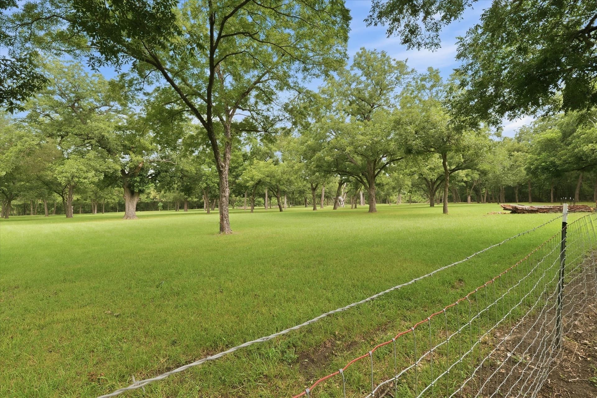 15 acres in Limestone County - photo 26