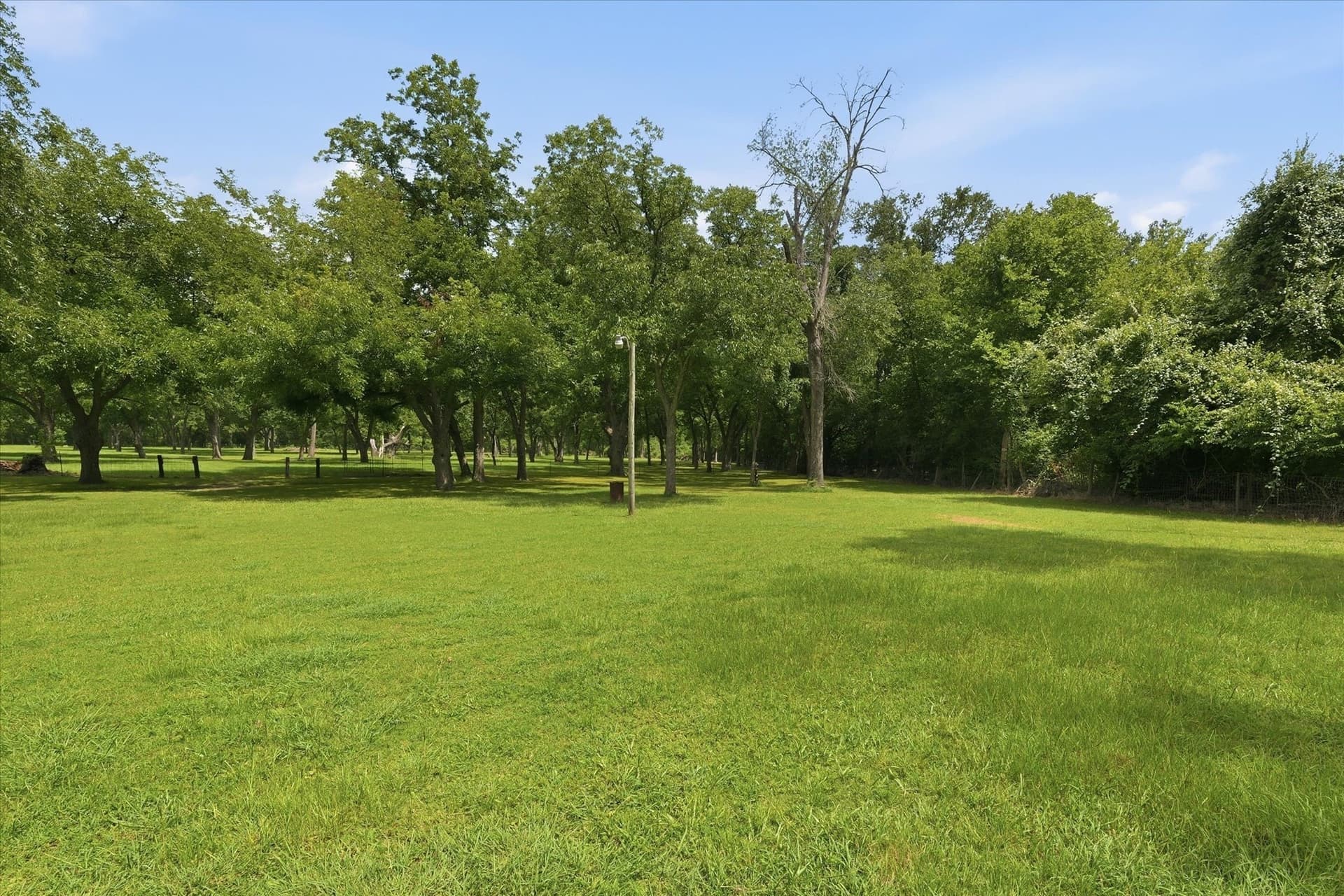 15 acres in Limestone County - photo 31