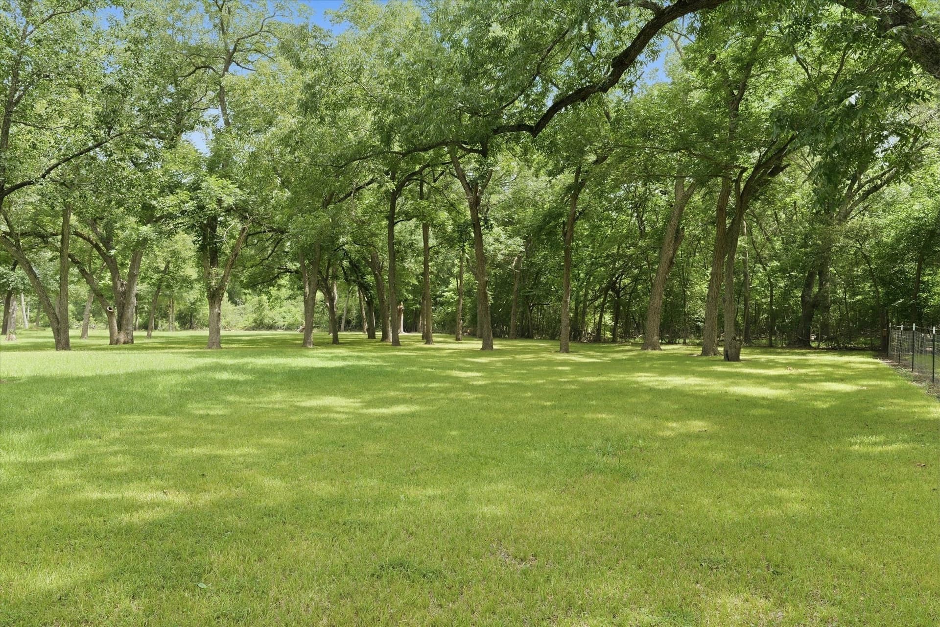 15 acres in Limestone County - photo 28