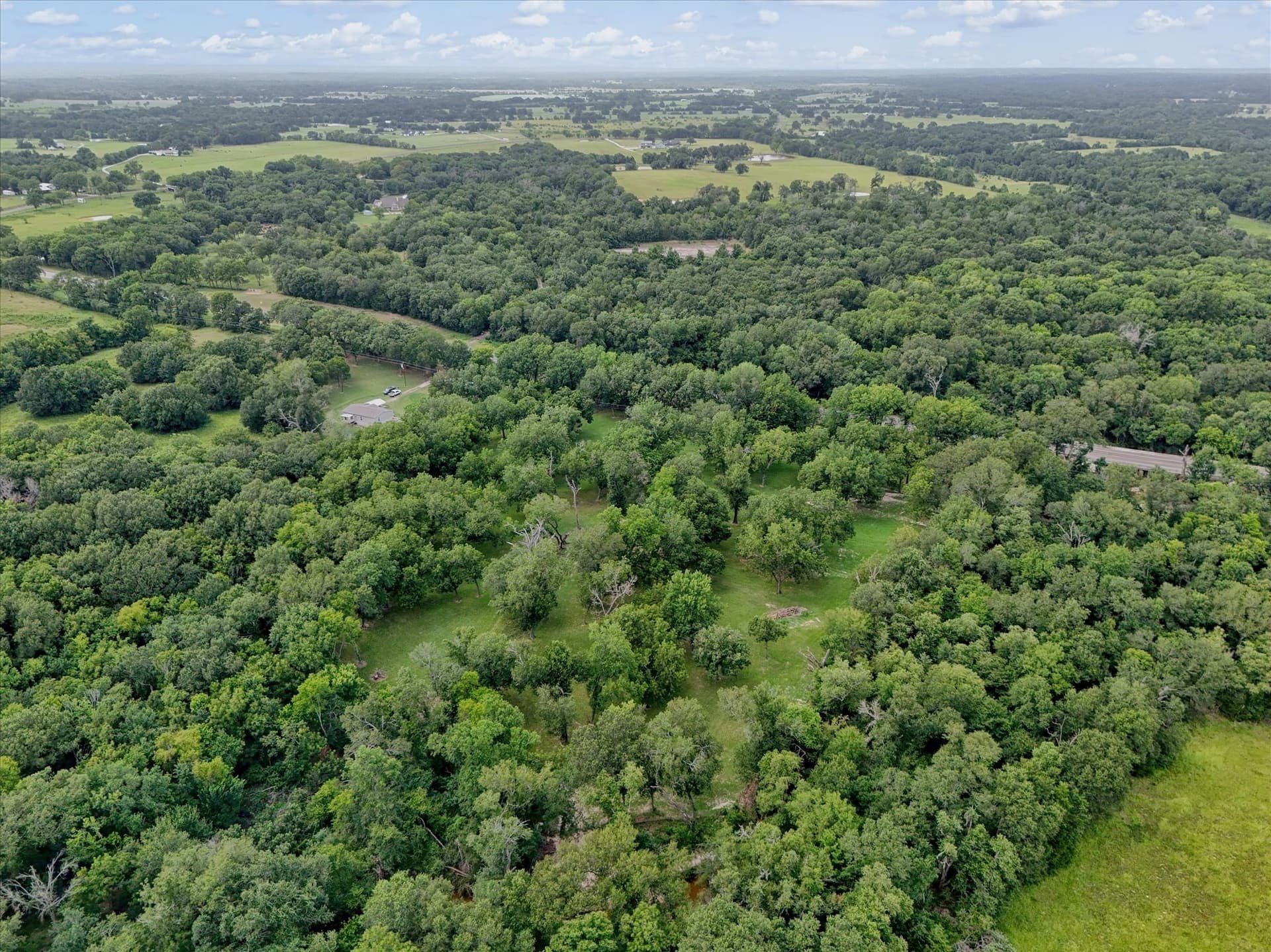 15 acres in Limestone County - photo 36