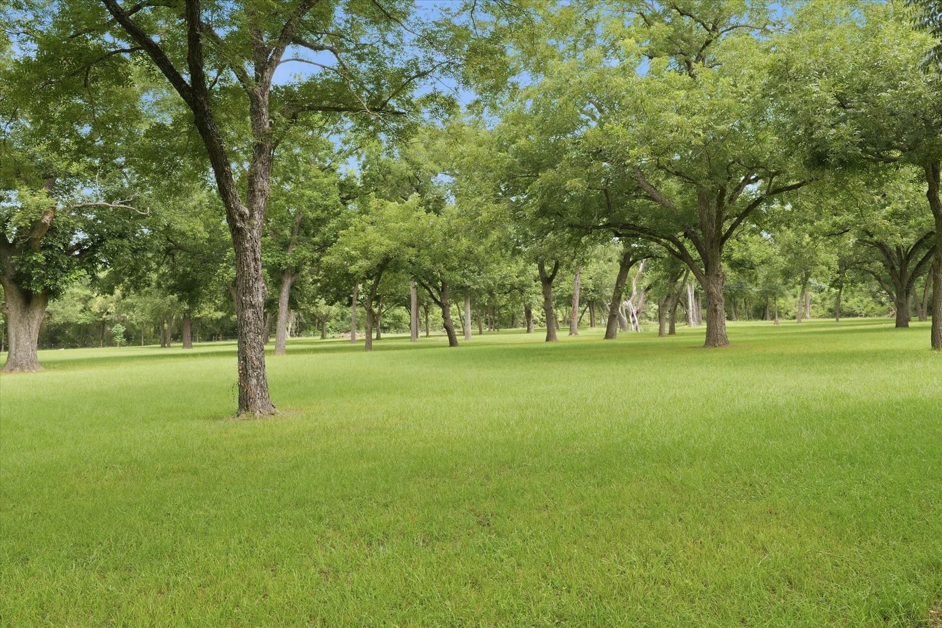 15 acres in Limestone County - photo 27