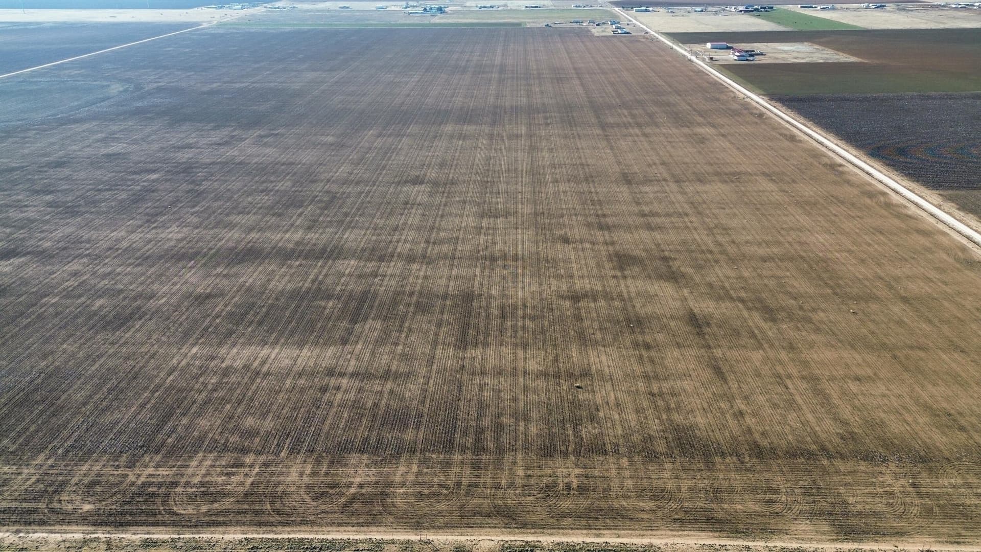 10.01 acres in Lubbock County gallery image 4
