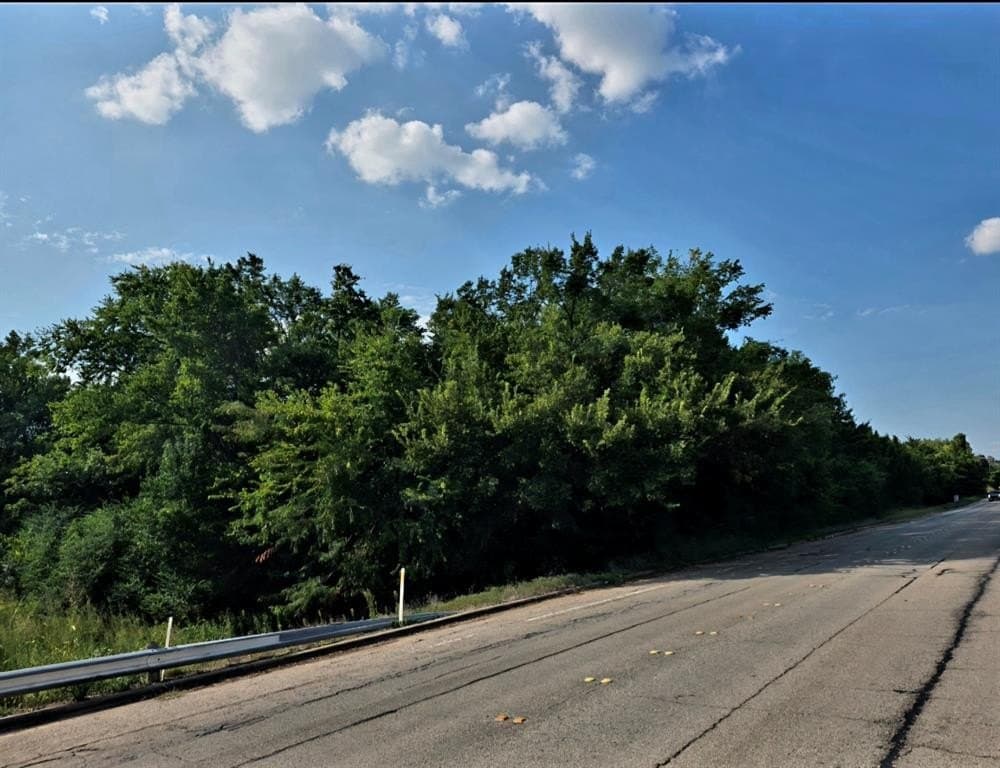 11.2 acres in Lamar County gallery image 4