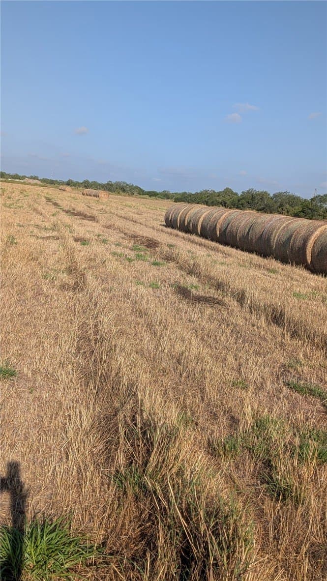 100,000 acres in Jim Wells County - photo 3