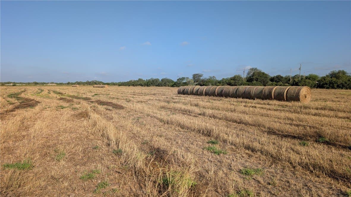 100,000 acres in Jim Wells County - photo 4