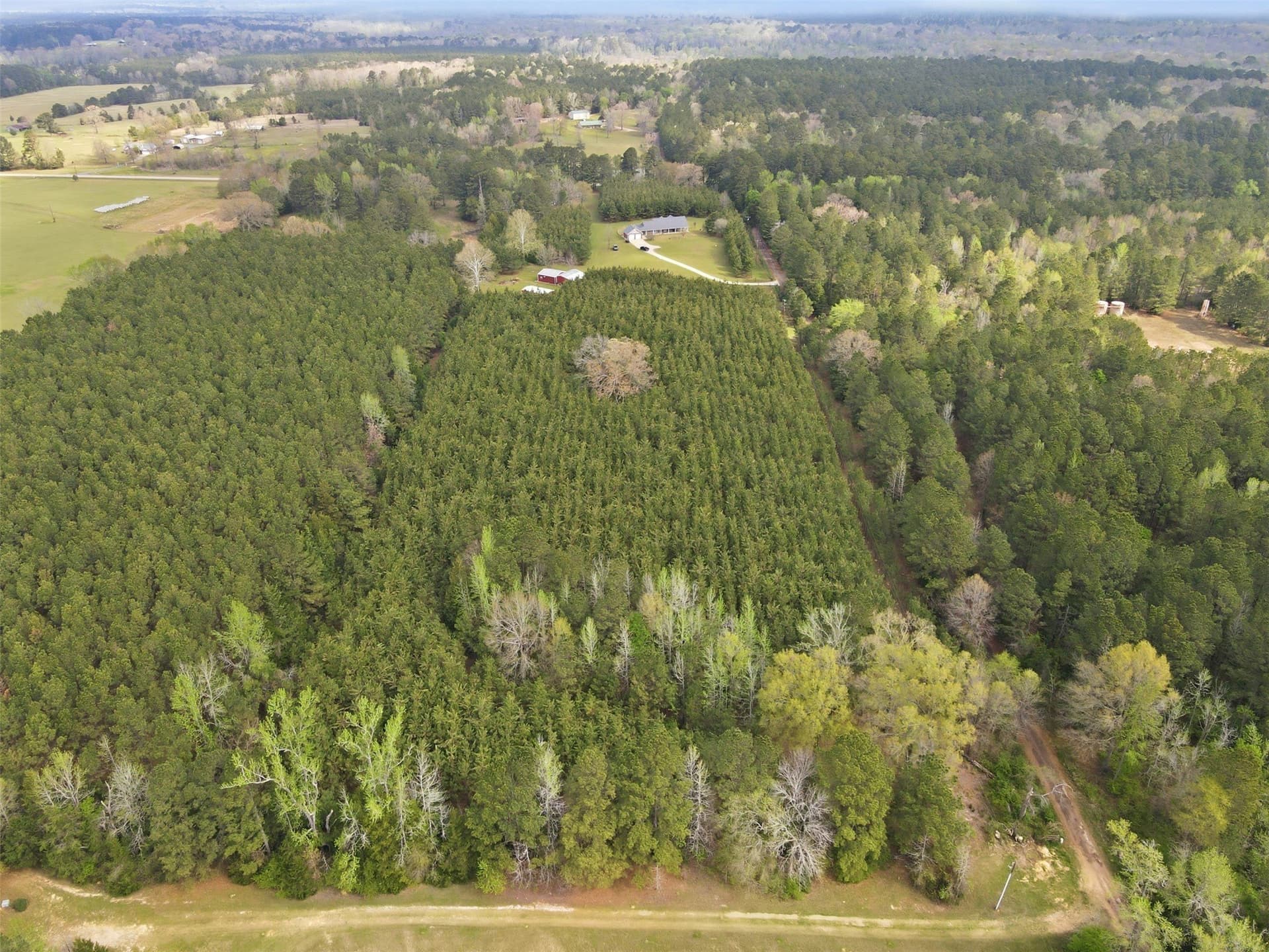 16.9 acres in Cass County - photo 24