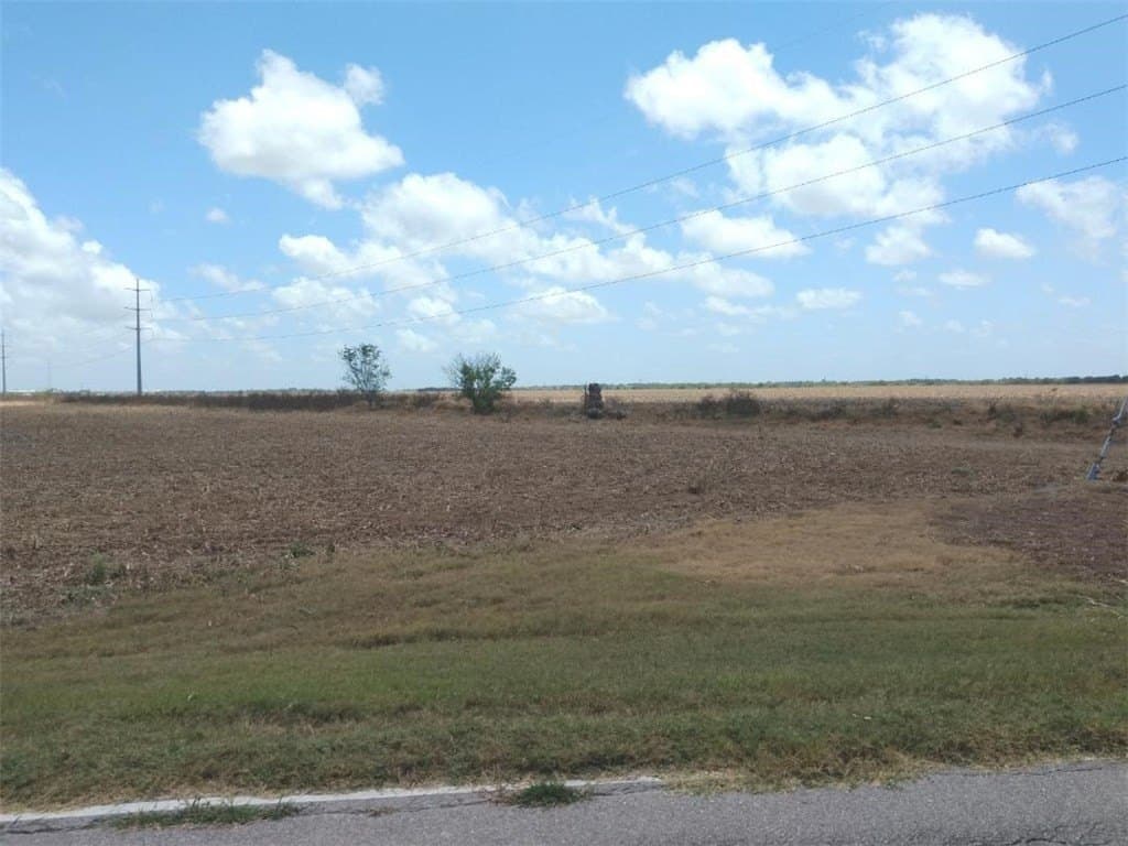 237.8 acres in Nueces County - photo 4