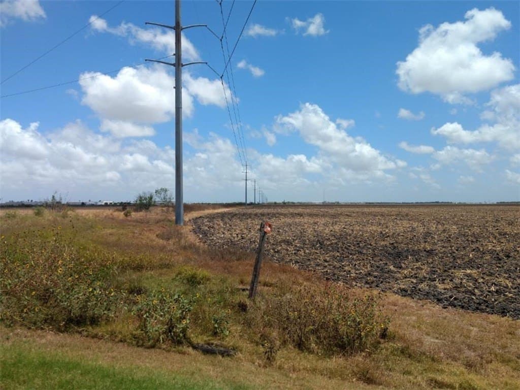 237.8 acres in Nueces County - photo 9