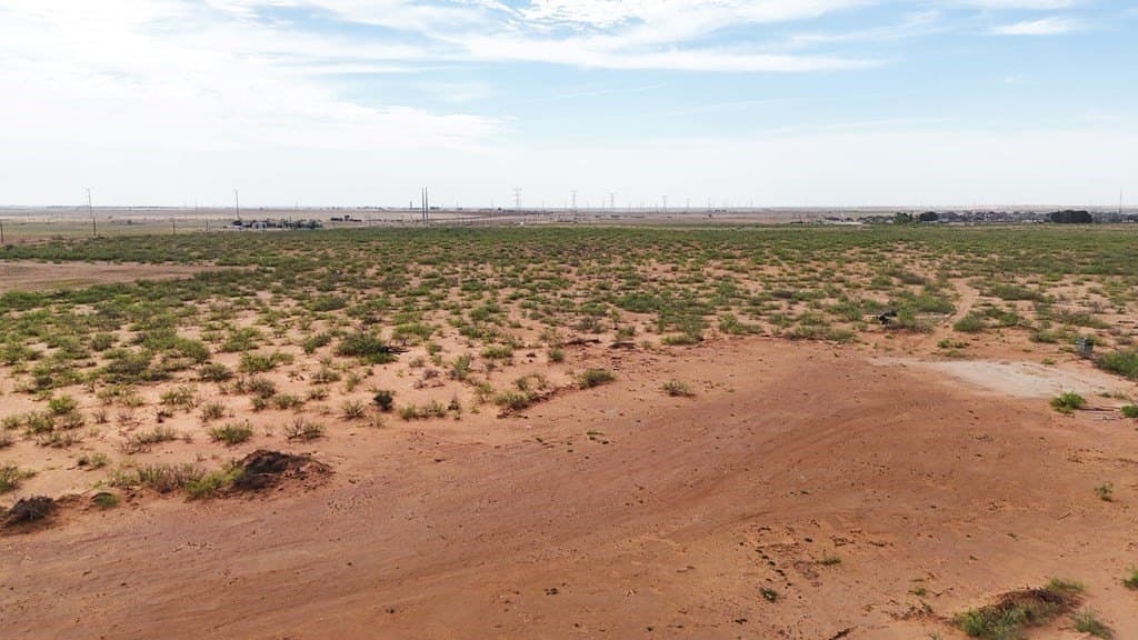 14.41 acres in Midland County gallery image 4